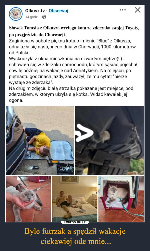 
    Byle futrzak a spędził wakacje
 ciekawiej ode mnie...