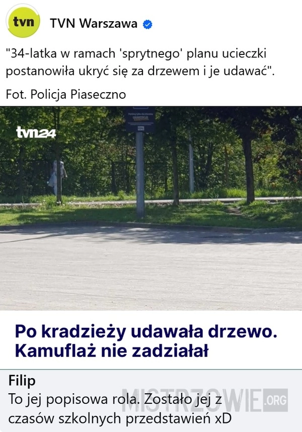 
    Kamuflaż