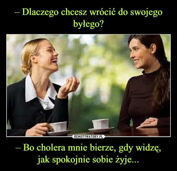 
    – Dlaczego chcesz wrócić do swojego byłego? – Bo cholera mnie bierze, gdy widzę,
jak spokojnie sobie żyje...