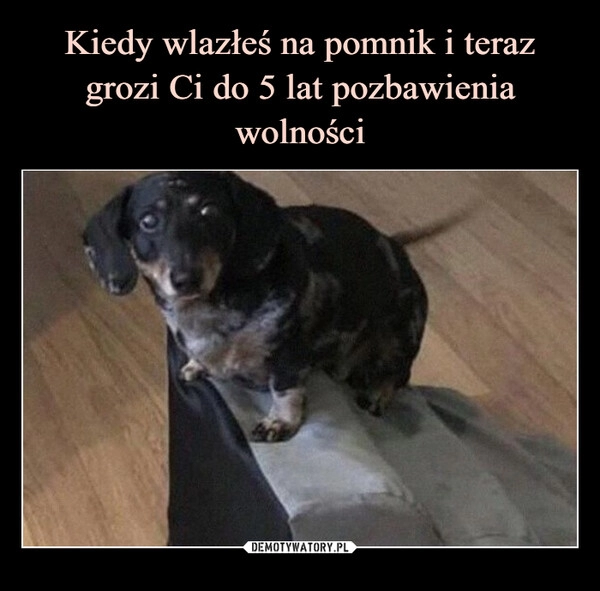 
    Kiedy wlazłeś na pomnik i teraz grozi Ci do 5 lat pozbawienia
wolności