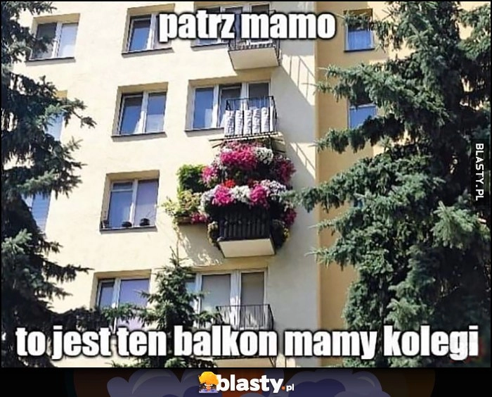 
    Patrz mamo, to jest ten balkon mamy kolegi