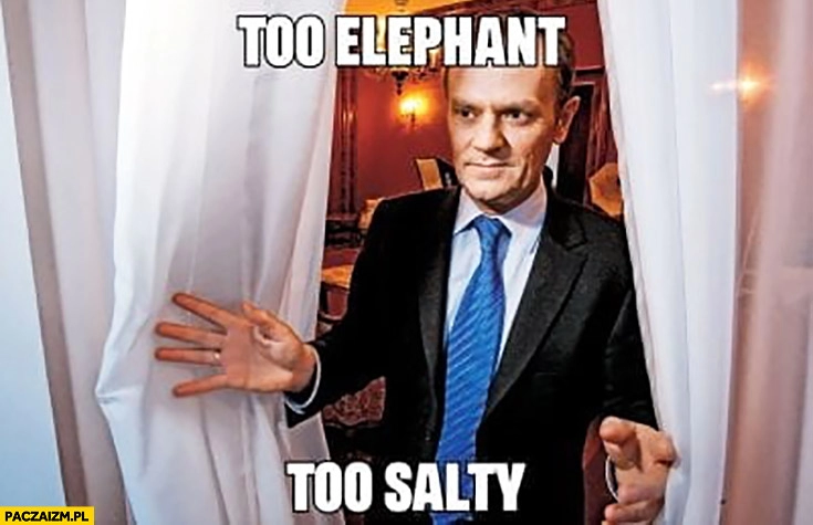 
    Tusk too elephant too salty zasłoń zasłony angielski z Tuskiem