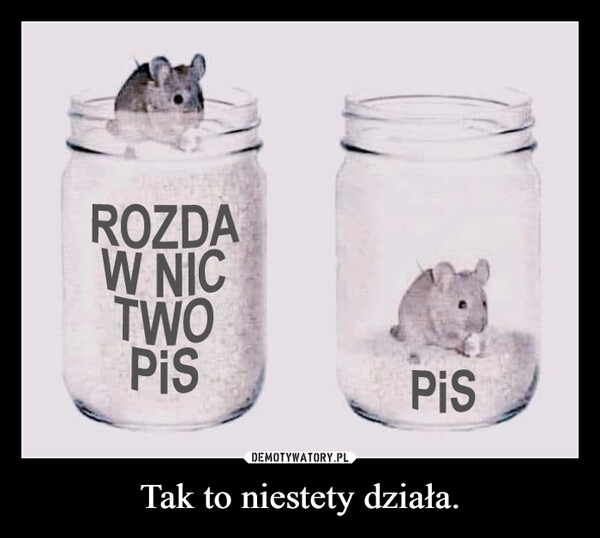 
    Tak to niestety działa.