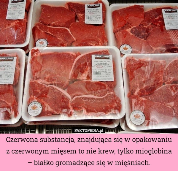 
    Czerwona substancja, znajdująca się w opakowaniu z czerwonym mięsem to nie