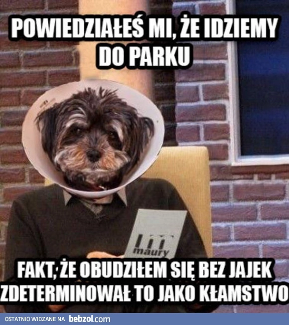 
    Zawiodłeś mnie, panie!