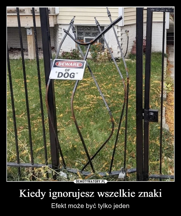 
    Kiedy ignorujesz wszelkie znaki