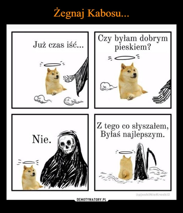 
    Żegnaj Kabosu...