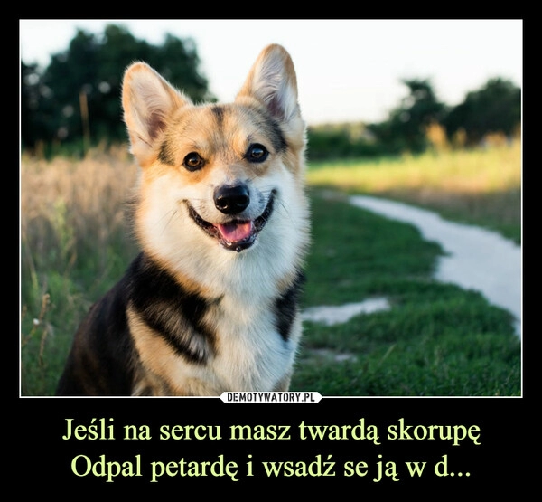 
    
Jeśli na sercu masz twardą skorupę
Odpal petardę i wsadź se ją w d... 