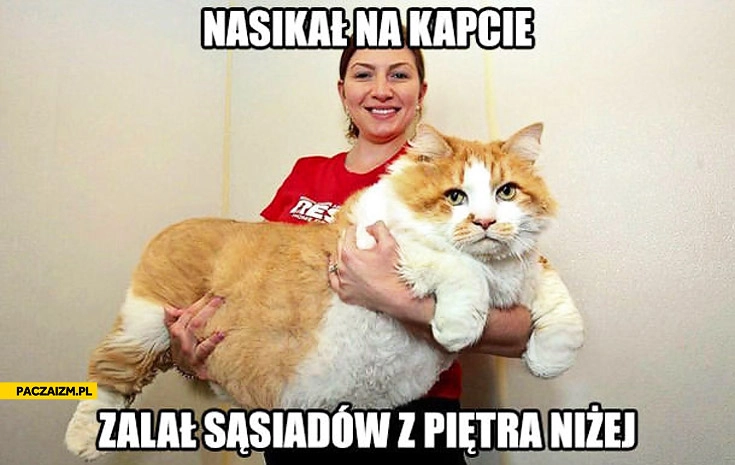 
    Kot nasikał na kapcie zalał sąsiadów z piętra niżej