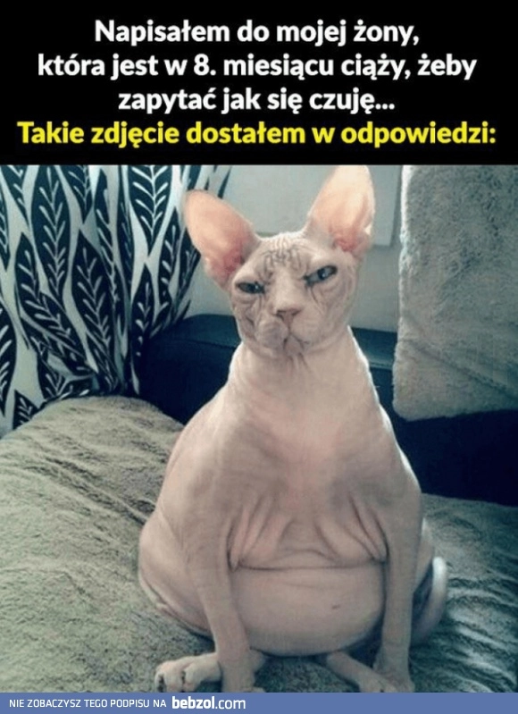 
    Żona nie owija w bawełnę 
