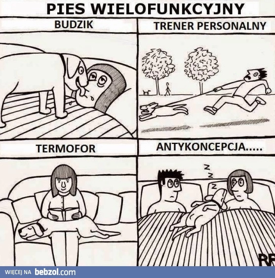 
    Pies wielofunkcyjny