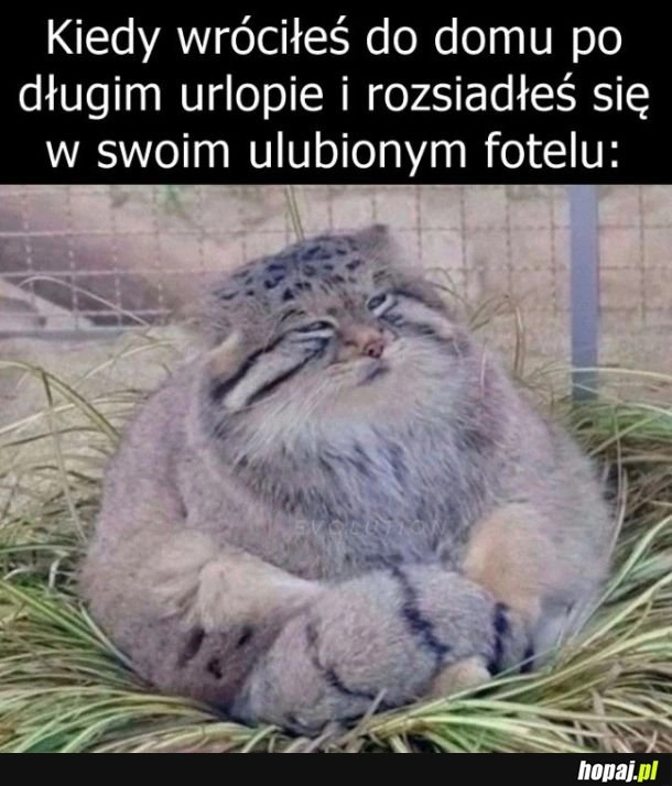 
    Odpoczynek po urlopie