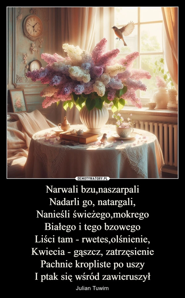 
    Narwali bzu,naszarpali
Nadarli go, natargali,
Nanieśli świeżego,mokrego
Białego i tego bzowego
Liści tam - rwetes,olśnienie,
Kwiecia - gąszcz, zatrzęsienie
Pachnie kropliste po uszy
I ptak się wśród zawieruszył