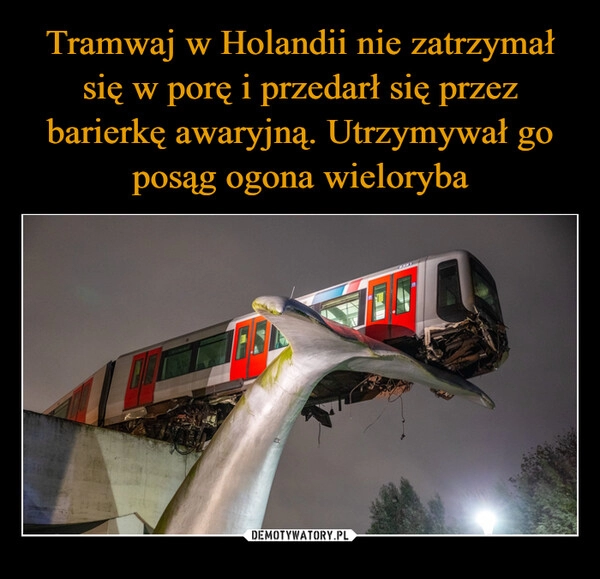 
    Tramwaj w Holandii nie zatrzymał się w porę i przedarł się przez barierkę awaryjną. Utrzymywał go posąg ogona wieloryba