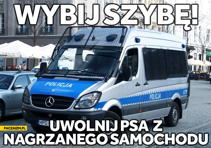 
    Wybij szybę! Uwolnij psa z nagrzanego samochodu