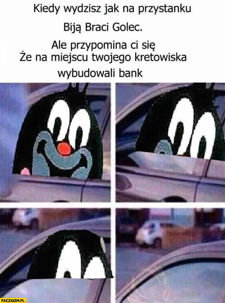 
    Krecik kiedy widzisz jak biją braci Golec ale przypomina Ci się, że na miejscu Twojego kretowiska wybudowali bank zamyka szybę odjeżdża