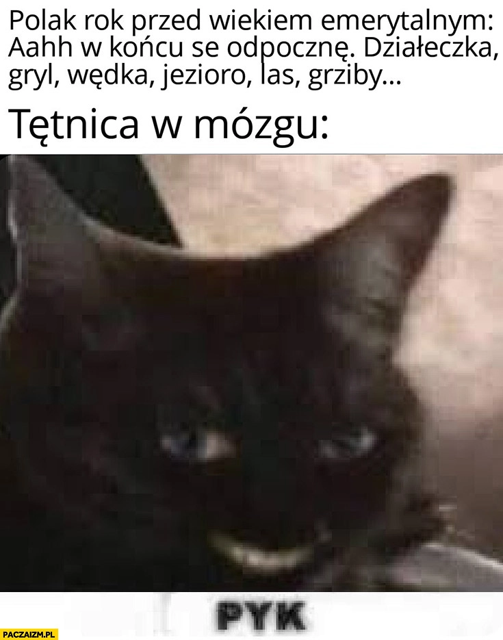 
    Polak rok przed wiekiem emerytalnym w końcu se odpocznę: działeczka, grill, wędka, jezioro, las grzyby tymczasem tętnica w mózgu pyk