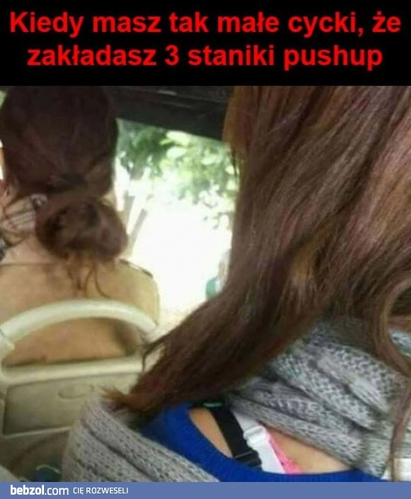 
    Staniki