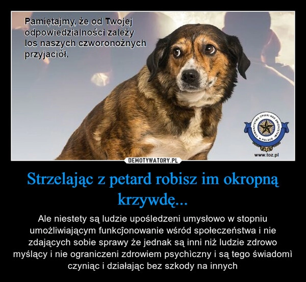 
    Strzelając z petard robisz im okropną krzywdę...