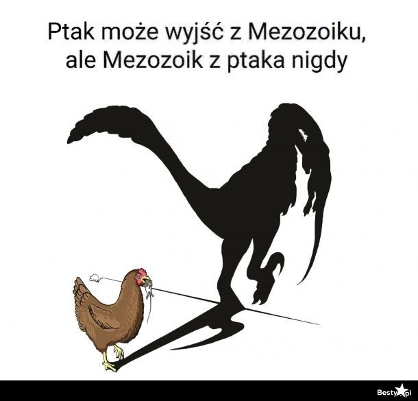 
    Mezozoik 