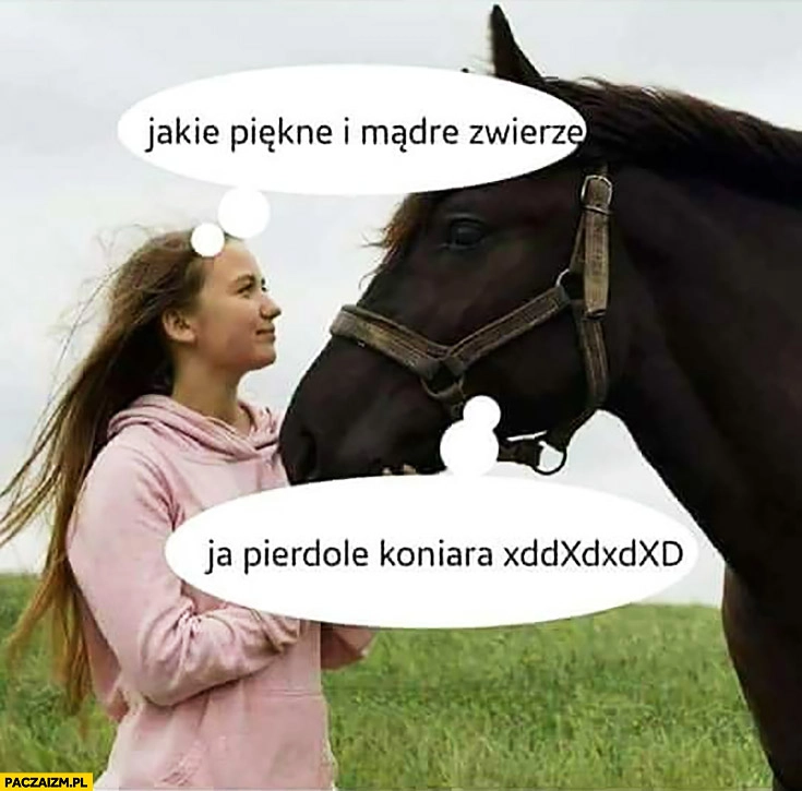
    Koń jakie piękne i mądre zwierze ja pierdziele koniara