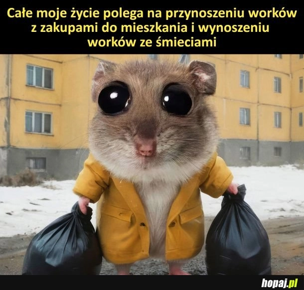 
    Moje życie be like