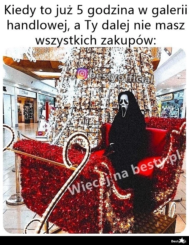 
    Zakupy świąteczne 