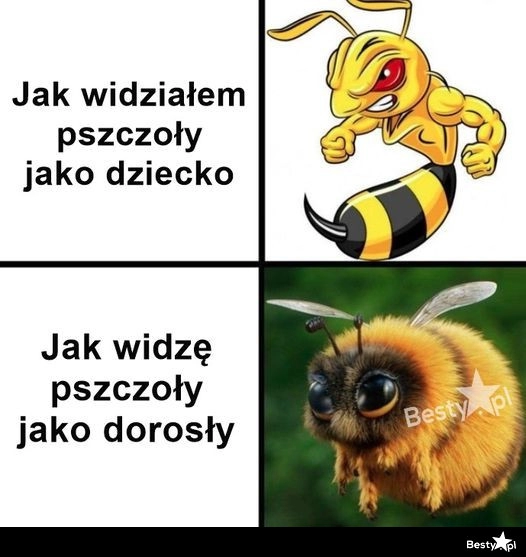 
    Pszczoły