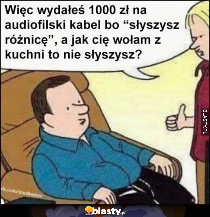 
    Wydałeś 1000 zł na audiofilski kabel bo słyszysz różnicę a jak cię wołam z kuchni to nie słyszysz