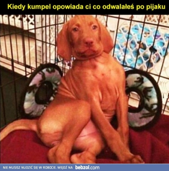 
    Cooooo?