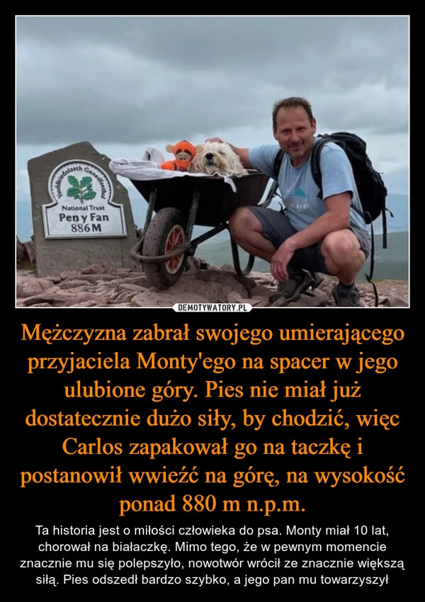 
    Mężczyzna zabrał swojego umierającego przyjaciela Monty'ego na spacer w jego ulubione góry. Pies nie miał już dostatecznie dużo siły, by chodzić, więc Carlos zapakował go na taczkę i postanowił wwieźć na górę, na wysokość ponad 880 m n.p.m.