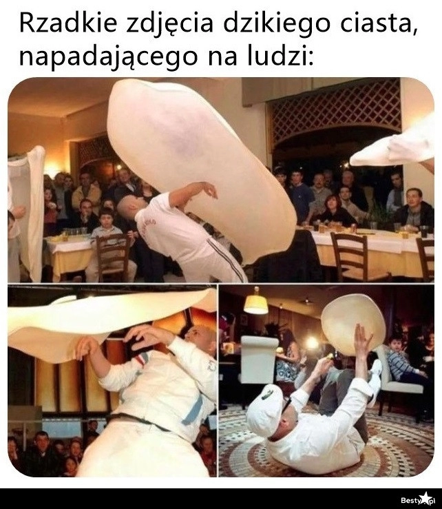 
    Rzadkie zdjęcie 