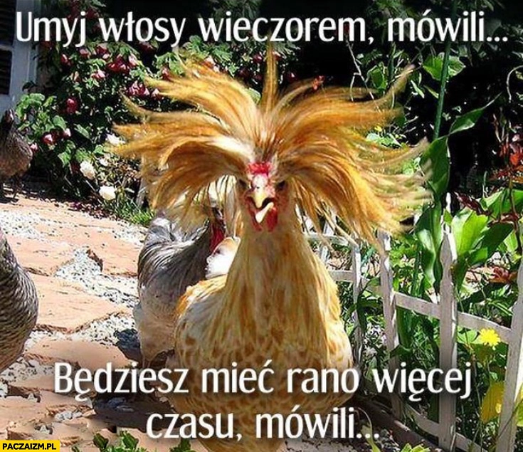 
    Umyj włosy wieczorem mówili będziesz mieć rano więcej czasu mówili