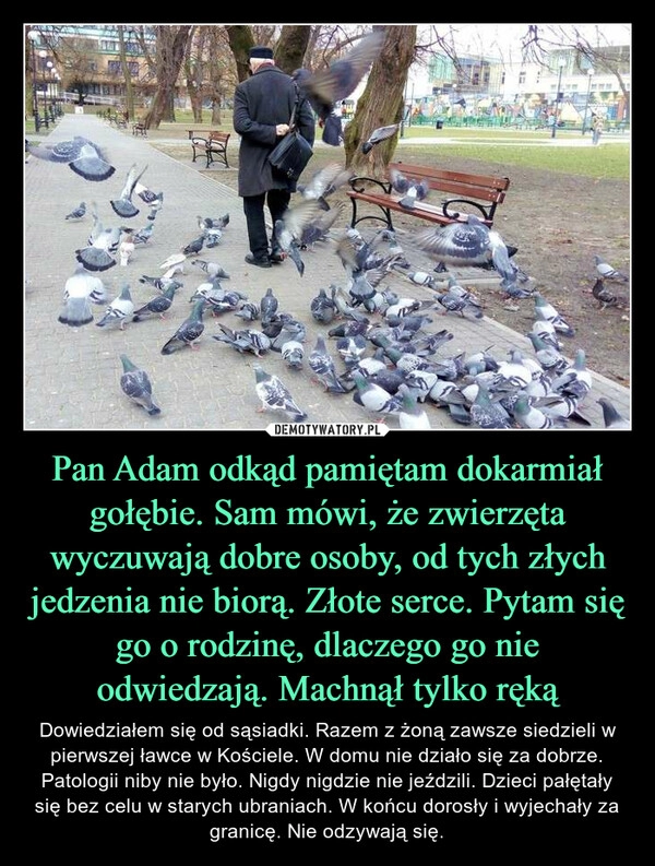 
    Pan Adam odkąd pamiętam dokarmiał gołębie. Sam mówi, że zwierzęta wyczuwają dobre osoby, od tych złych jedzenia nie biorą. Złote serce. Pytam się go o rodzinę, dlaczego go nie odwiedzają. Machnął tylko ręką