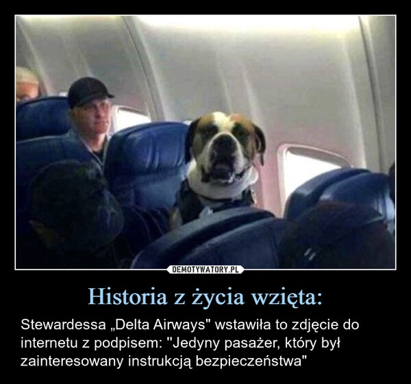 
    Historia z życia wzięta: