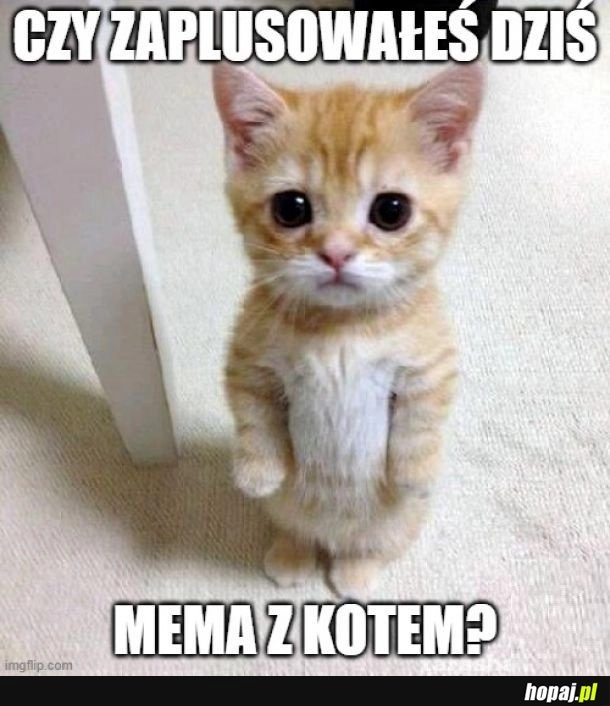 
    Właśnie xd