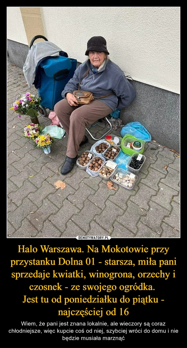 
    
Halo Warszawa. Na Mokotowie przy przystanku Dolna 01 - starsza, miła pani sprzedaje kwiatki, winogrona, orzechy i czosnek - ze swojego ogródka.
Jest tu od poniedziałku do piątku - najczęściej od 16 