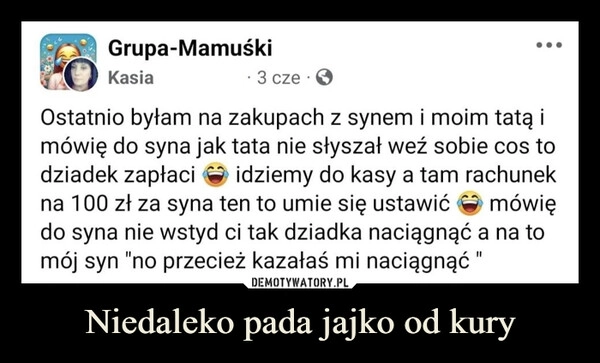 
    Niedaleko pada jajko od kury