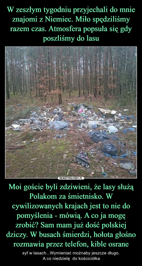 
    W zeszłym tygodniu przyjechali do mnie znajomi z Niemiec. Miło spędziliśmy razem czas. Atmosfera popsuła się gdy poszliśmy do lasu Moi goście byli zdziwieni, że lasy służą Polakom za śmietnisko. W cywilizowanych krajach jest to nie do pomyślenia - mówią. A co ja mogę zrobić? Sam mam już dość polskiej dziczy. W busach śmierdzi, hołota głośno rozmawia przez telefon, kible osrane