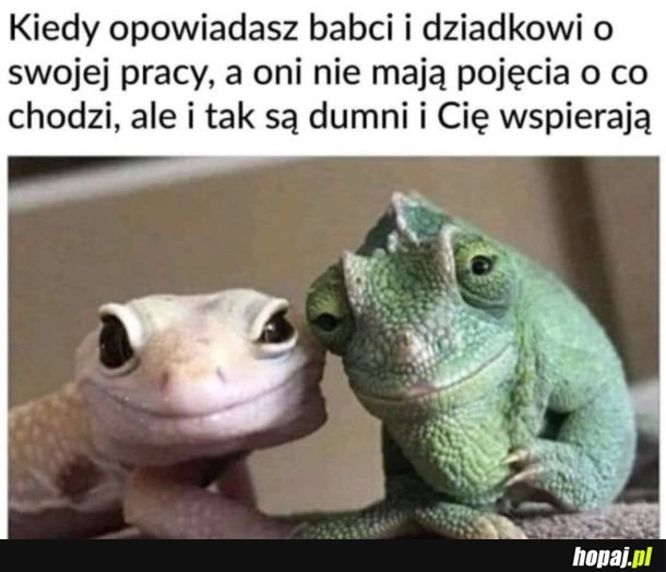 
    Miny nierozumiejące ale szczęśliwe