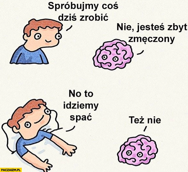 
    Mózgu spróbujmy coś dziś zrobić, nie, jestem zbyt zmęczony no to idziemy spać, też nie