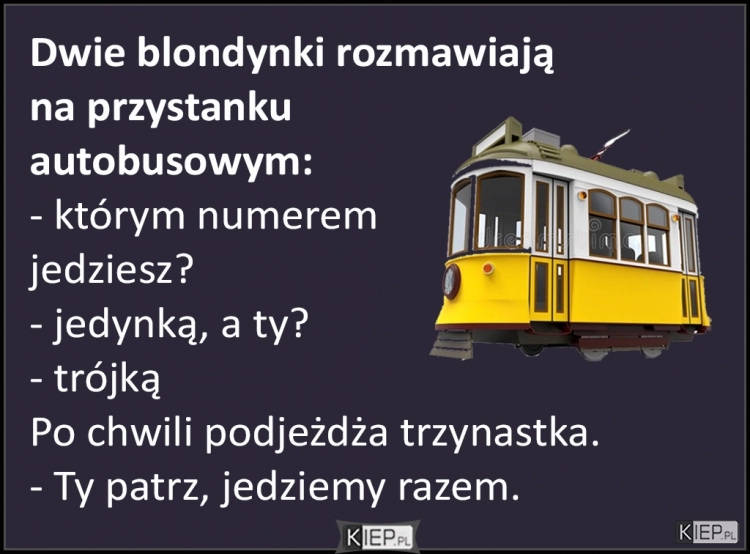 
    Dwie blondynki rozmawiają na przystanku autobusowym...