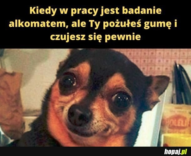 
    Może być różnie. 