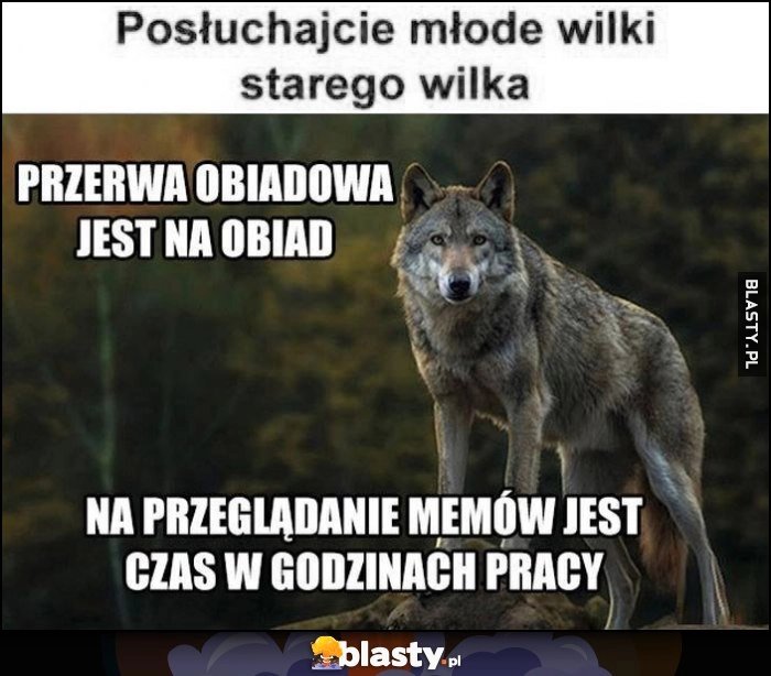 
    Posłuchajcie młode wilki starego wilka: przerwa obiadowa jest na obiad, na przeglądanie memów jest czas w godzinach pracy