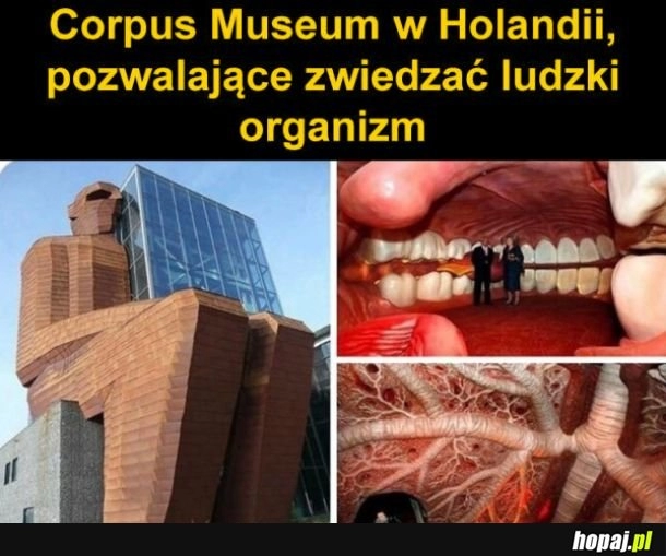 
    Ciekawe Muzeum w Holandii