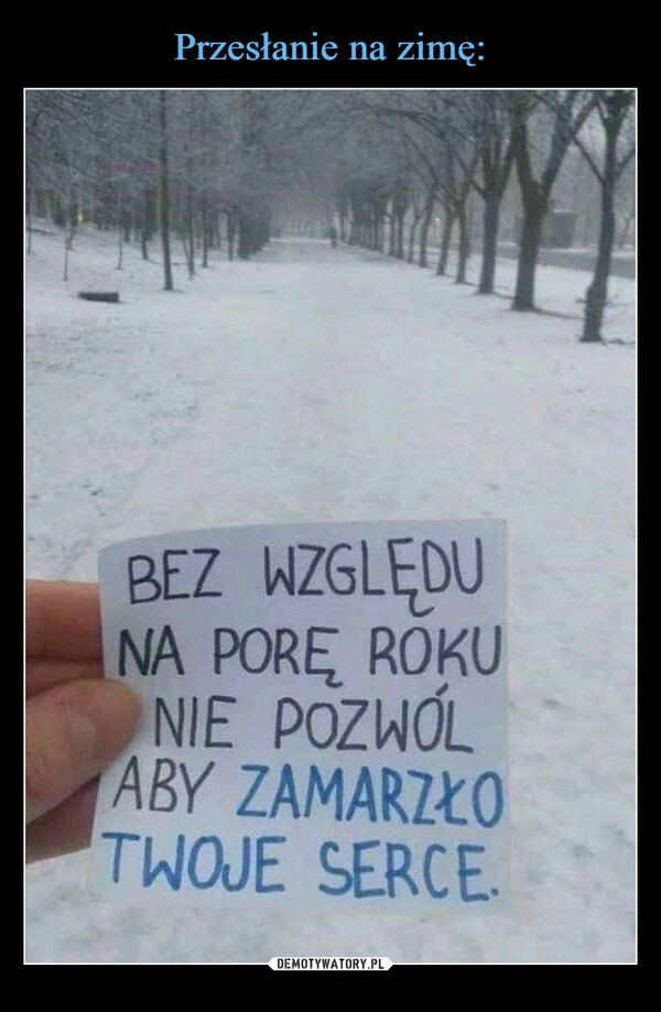 
    Przesłanie na zimę: