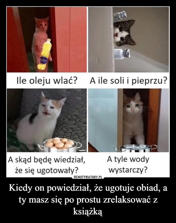 
    Kiedy on powiedział, że ugotuje obiad, a ty masz się po prostu zrelaksować z książką