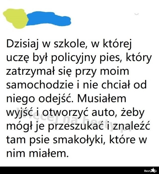 
    Pies policyjny w szkole 