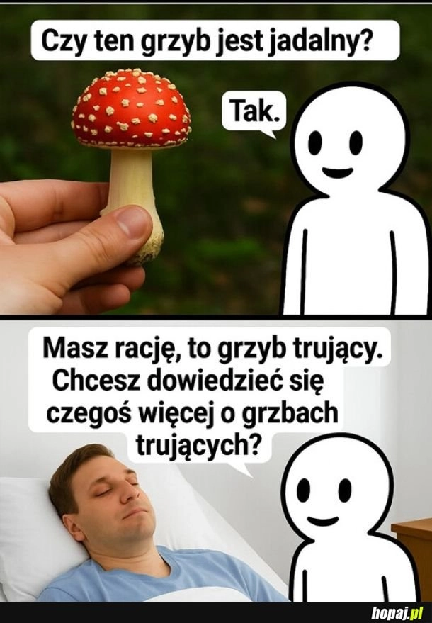 
    Na grzyby z AI.