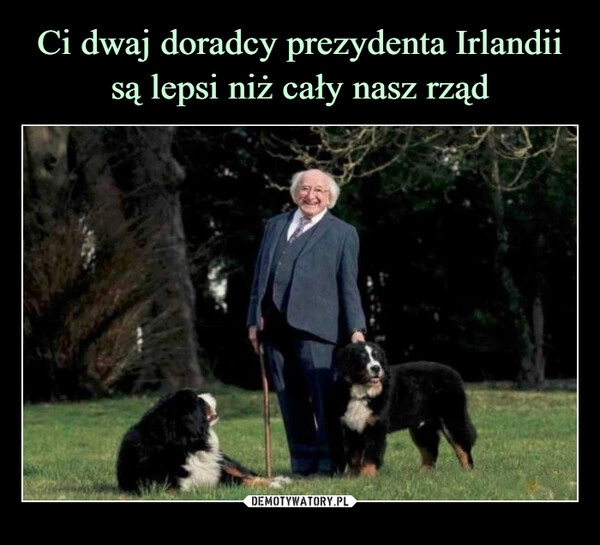 
    Ci dwaj doradcy prezydenta Irlandii są lepsi niż cały nasz rząd